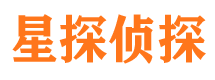 桑日调查公司